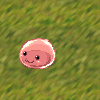 BelkO